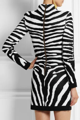 Balmain - As Seen on Rosie Huntington Whiteley - Long Sleeve Zebra Print Mini Dress NWT - FR 40