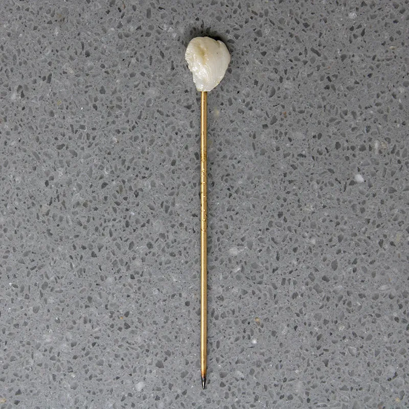 Glossy River Pearl on 19k Gold Victorian Stick Pin